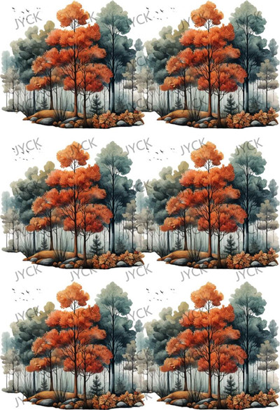 Book wraps-Q15339
