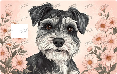 Card wraps-BC6391