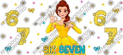 T6-2513