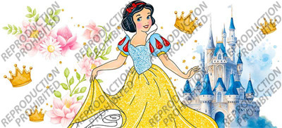 T6-2810