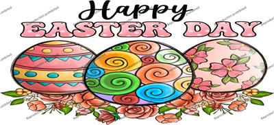 T8-356