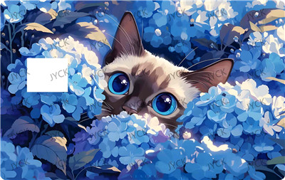 Card wraps-BC6706