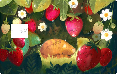 Card wraps-BC6713