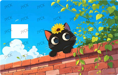 Card wraps-BC6867