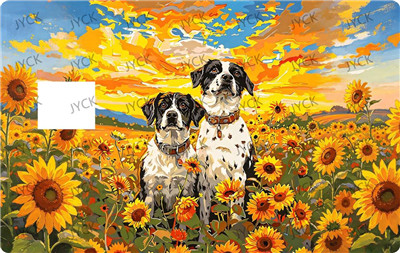 Card wraps-BC7252