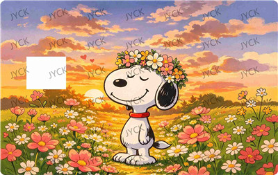 Card wraps-BC7330