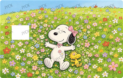 Card wraps-BC7335